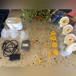 Medela Pump in Style